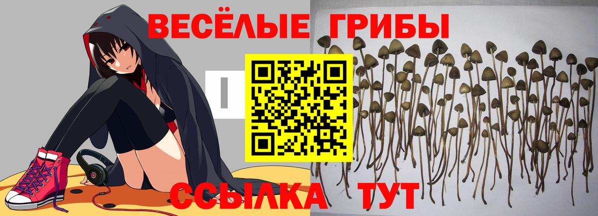 Белореченск  Галлюциногенные грибы ЛСД  Галлюциногенные грибы Psilocybine cubensis  Вход с VPN 